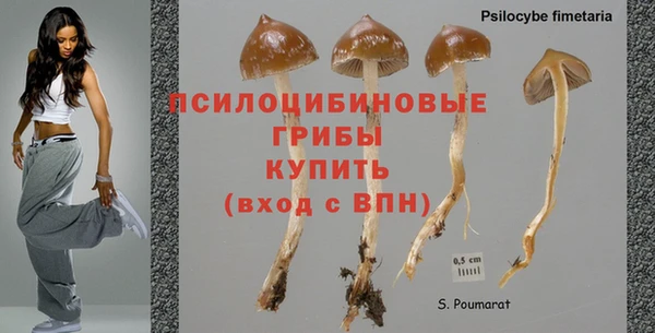 MDMA Кинешма