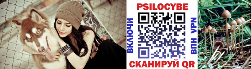 Галлюциногенные грибы Psilocybe  Купить  Емва 